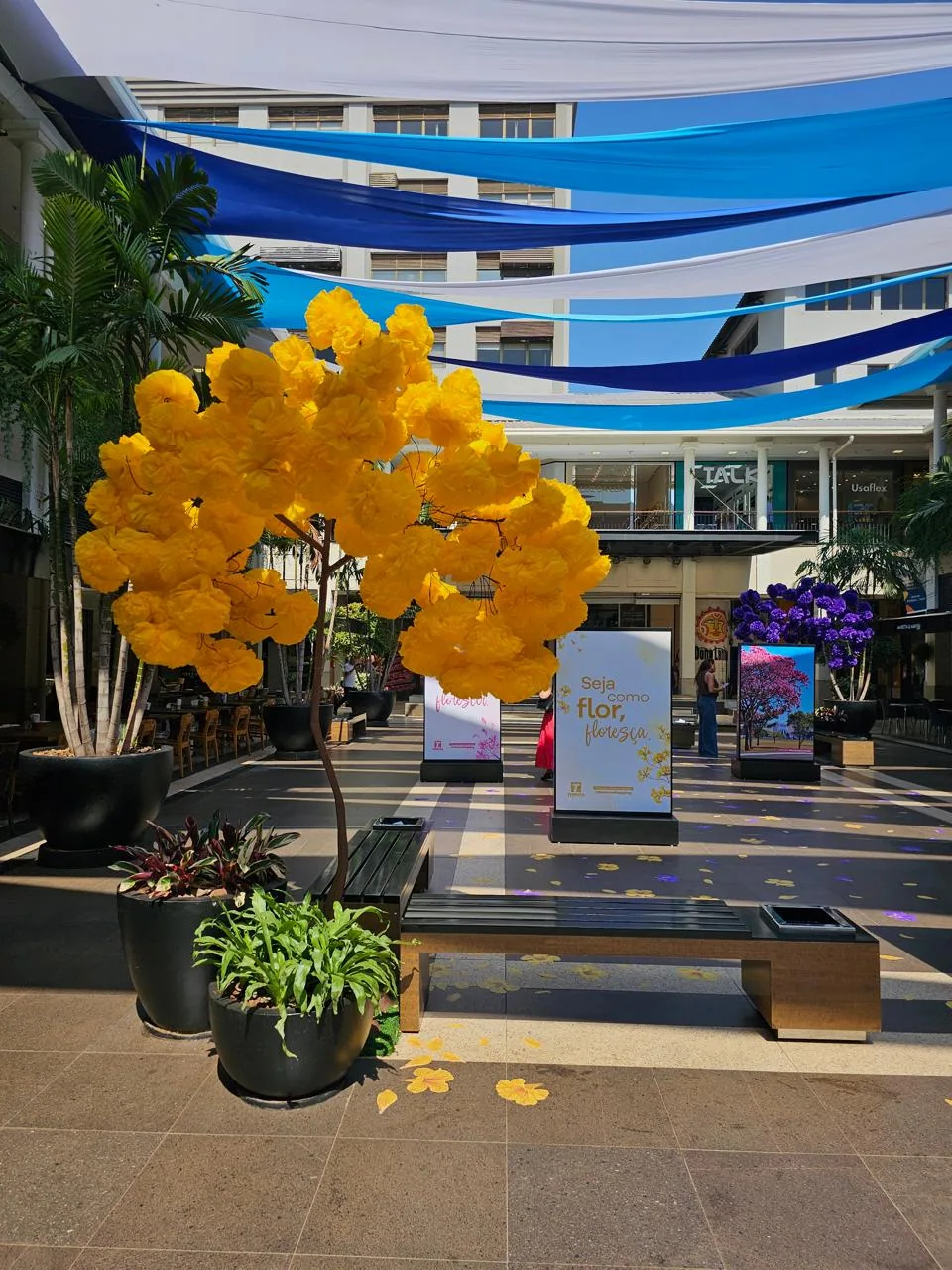 “Terraço em Flor” celebra a chegada da primavera com música, gastronomia e cenografia inspirada nos ipês de Brasília