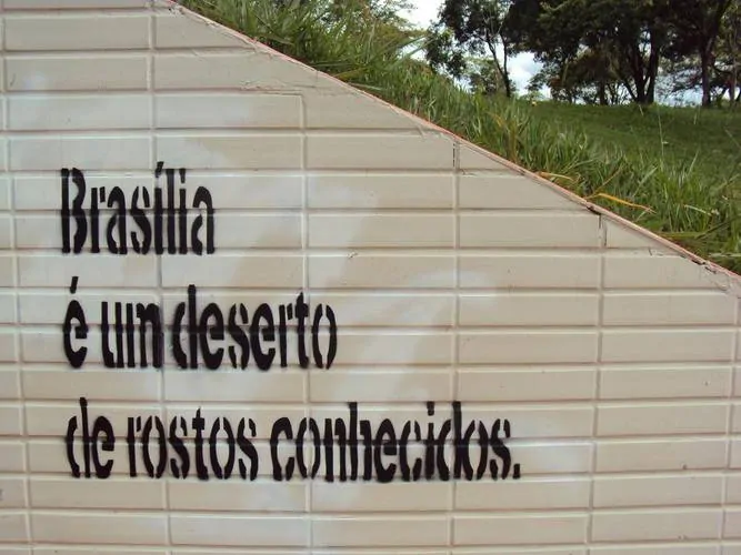 Já Alimentou os Pássaros?